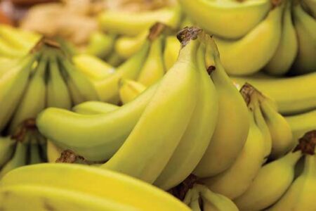 Roasted Banana Cream Recipe Image